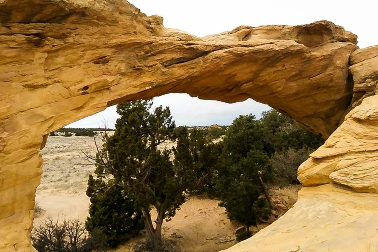 Cottonwoods Villa Moab Eksteriør bilde